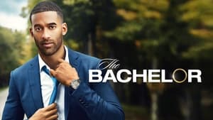 The Bachelor kép