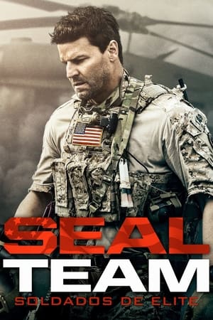 SEAL Team poszter