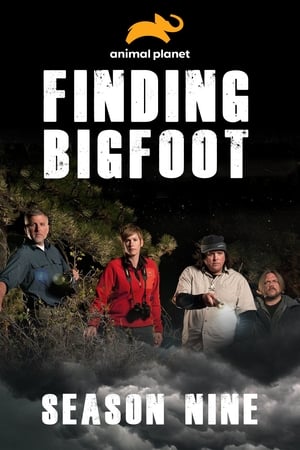 Finding Bigfoot 9. évad (2017-01-08) poszter