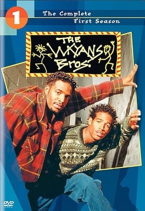 The Wayans Bros. 1. évad (1995-01-11) poszter