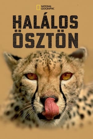 Halálos ösztön