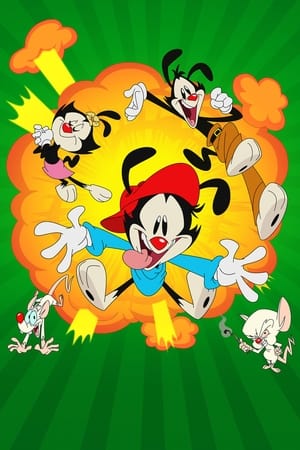 Animaniacs poszter