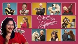 Fous des animaux kép