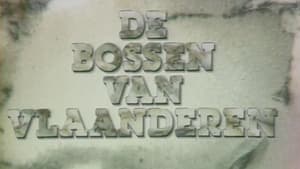 De Bossen Van Vlaanderen kép