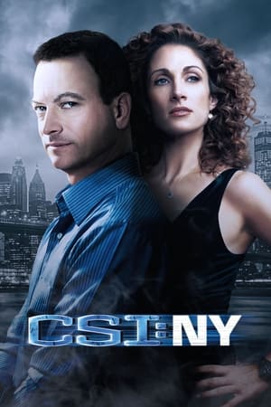 CSI: New York-i helyszínelők poszter