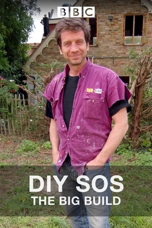 DIY SOS poszter