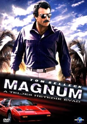 Magnum 7. évad (1986-10-01) poszter