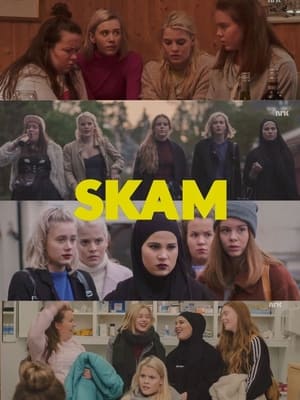 SKAM poszter