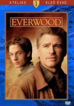 Everwood 1. évad (2002-09-16) poszter