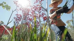 Gardening Australia 33. évad Ep.23 23. epizód