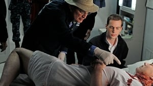 NCIS 8. évad Ep.14 Egy férfi bemegy egy bárba...