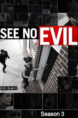 See No Evil 3. évad (2017-02-15) poszter