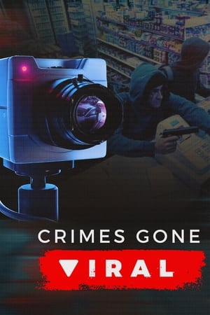 Crimes Gone Viral 2. évad (2021-12-27) poszter