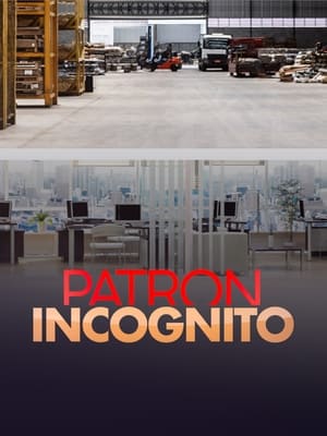 Patron incognito poszter