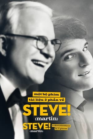 STEVE! (martin) dokumentumfilm 2 részben poszter