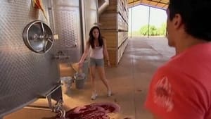 The Amazing Race Australia 1. évad Ep.5 5. epizód