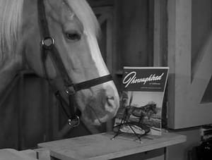 Mister Ed 1. évad Ep.26 26. epizód