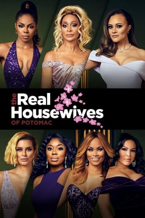 The Real Housewives of Potomac poszter