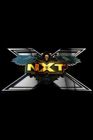 WWE NXT poszter