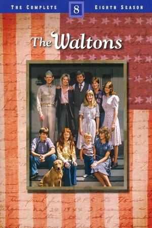 The Waltons 8. évad (1979-09-20) poszter