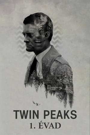 Twin Peaks 1. évad (1990-04-08) poszter