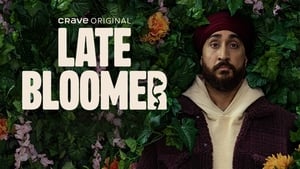 Late Bloomer kép