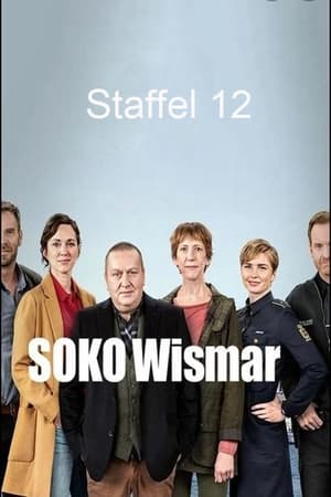 SOKO Wismar 12. évad (2015-10-07) poszter