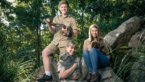 Ausztrál állatkert - Steve Irwin öröksége kép