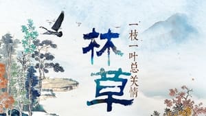 绿水青山看中国 2. évad Ep.4 4. epizód