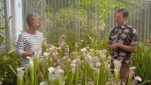 Gardening Australia 34. évad Ep.3 3. epizód