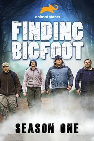 Finding Bigfoot 1. évad (2011-05-30) poszter