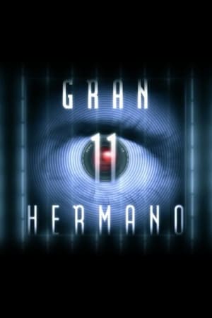 Gran hermano 11. évad () poszter