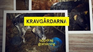 Uppdrag granskning 21. évad Ep.1 1. epizód