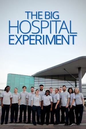 The Big Hospital Experiment poszter