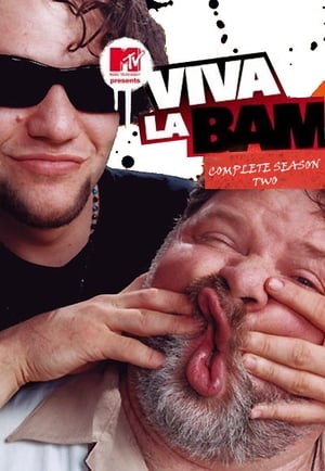 Viva La Bam 2. évad (2004-04-25) poszter