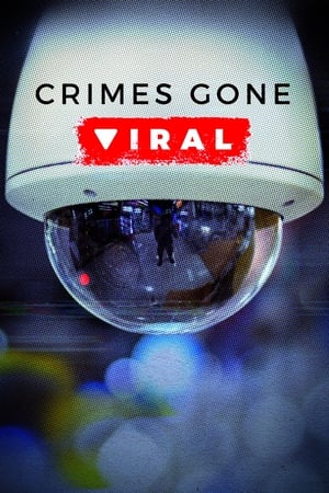 Crimes Gone Viral poszter