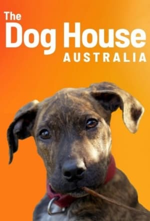 The Dog House Australia poszter