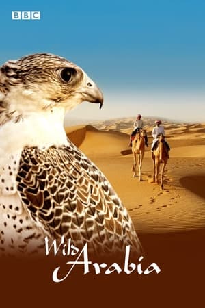 Wild Arabia poszter