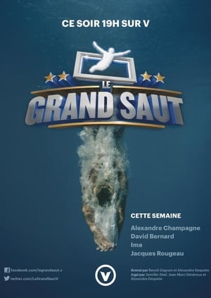 Le grand saut 1. évad (2013-02-20) poszter