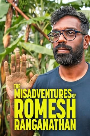 Romesh Ranganathan szerencsétlen utazásai