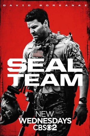 SEAL Team poszter