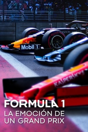 Formula 1: Hajsza a túlélésért poszter