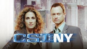 CSI: New York-i helyszínelők kép