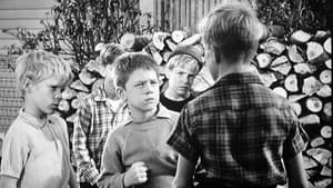 The Andy Griffith Show 3. évad Ep.14 14. epizód