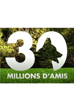 30 millions d'amis