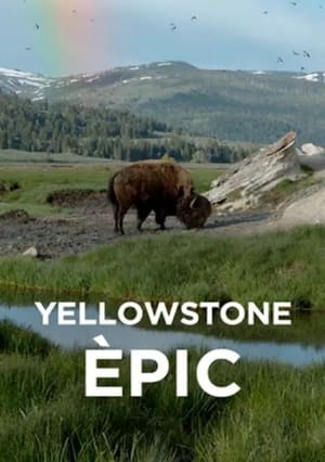 Epic Yellowstone poszter