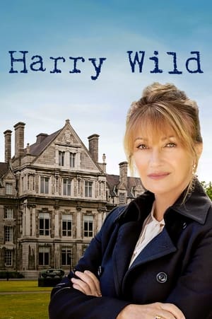 Harry Wild 1. évad (2022-04-04) poszter