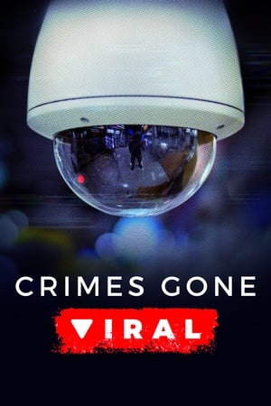 Crimes Gone Viral poszter