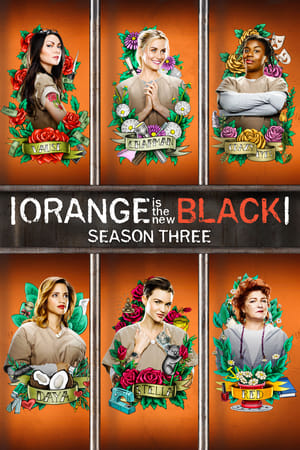 Orange Is the New Black 3. évad (2015-06-11) poszter