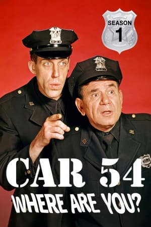 Car 54, Where Are You? 1. évad (1961-09-17) poszter